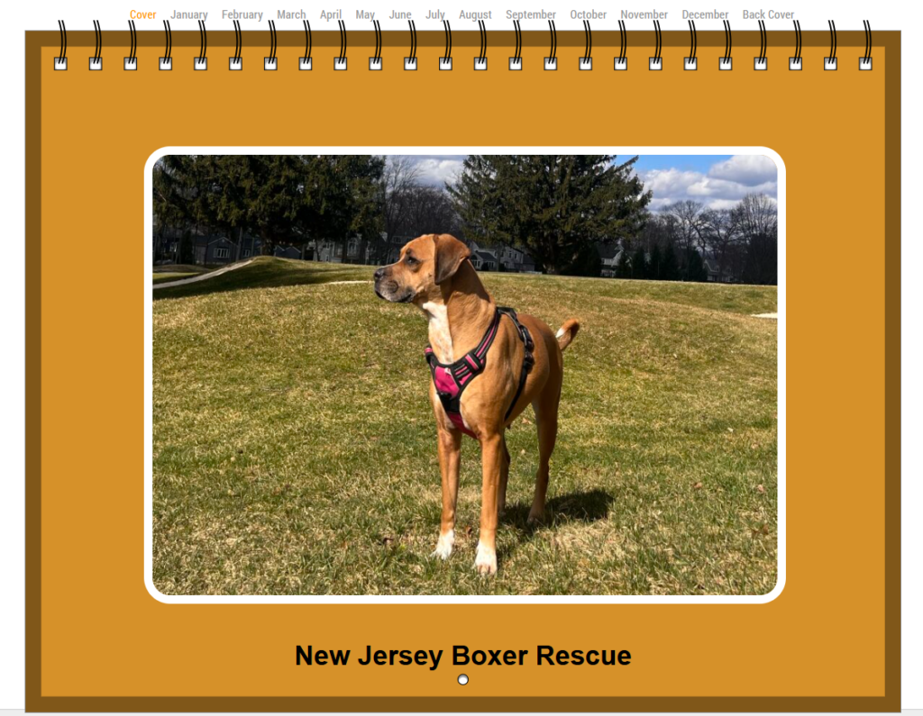 NJBR 2025 Calendar New Jersey Boxer Rescue